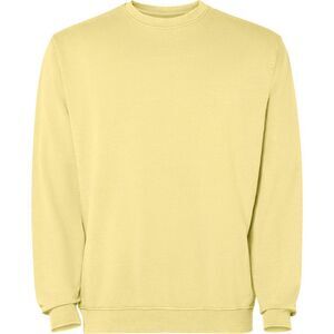 Roly Unisex Adult Jaya Crew Neck Sweatshirt / Yellow
